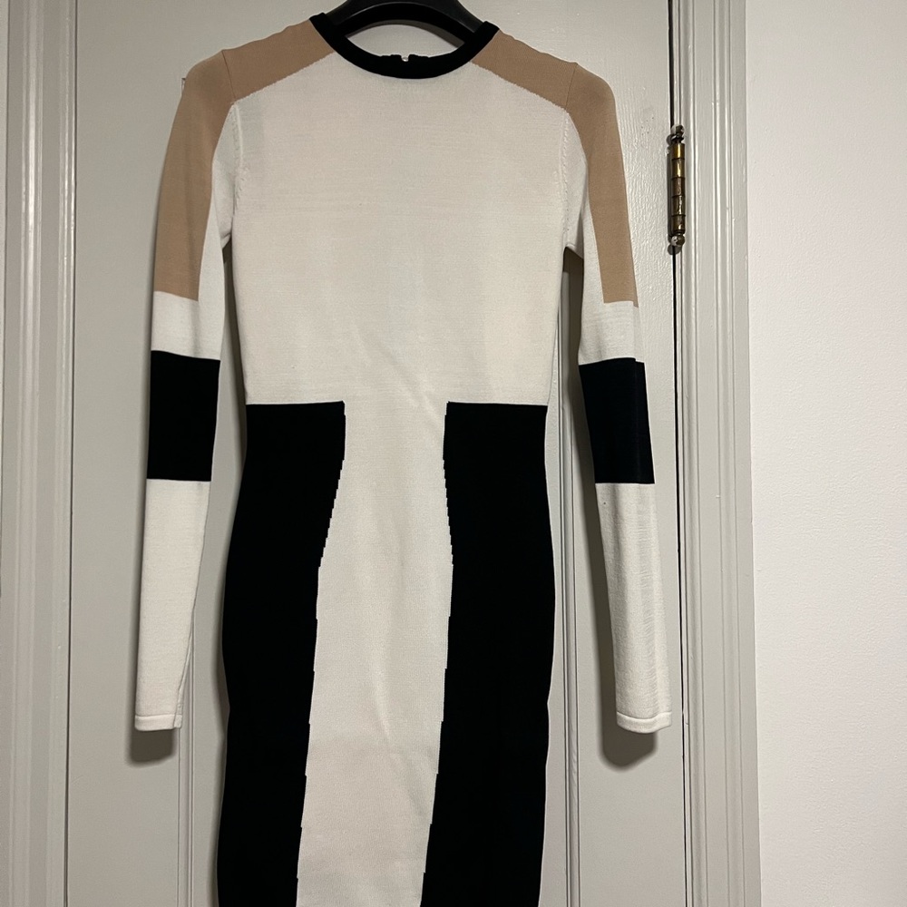 Torn by Ronny kobo body on dress